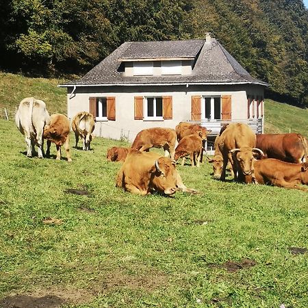 Willa Tourmalet Campan Zewnętrze zdjęcie